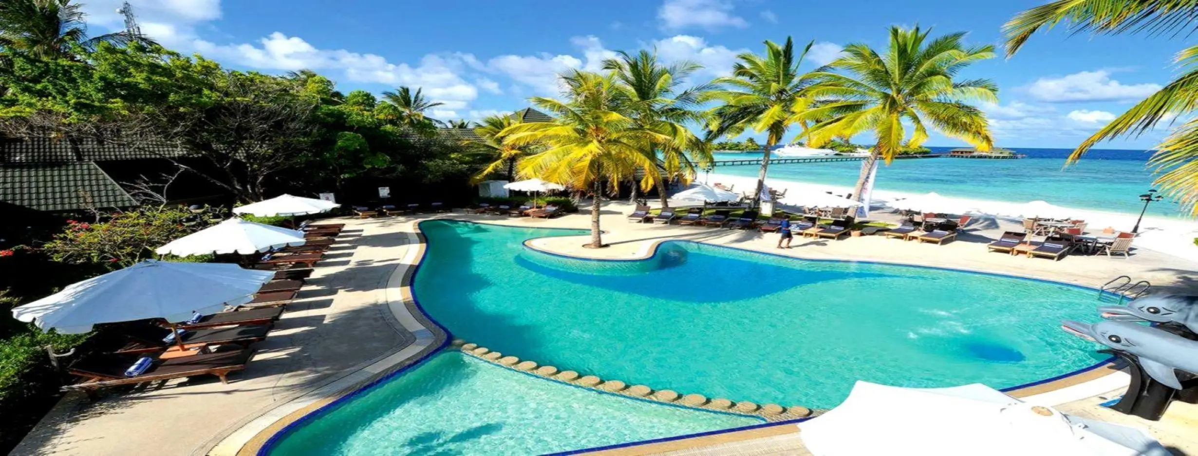 Image for Paradise Haven